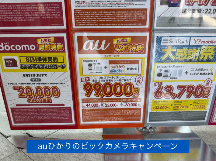 ビックカメラのキャンペーン