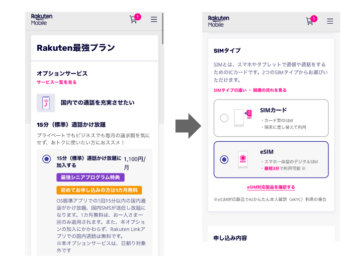 オプションとSIMタイプの選択