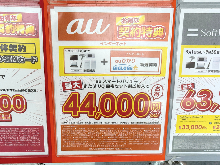 ビックカメラのキャンペーン