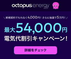 54000円オクトパスエナジーキャンペーン