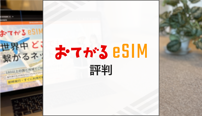 おてがるeSIM 評判