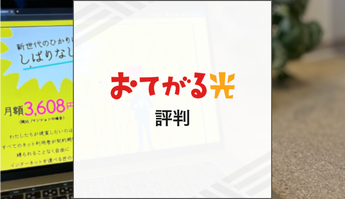 おてがる光の評判