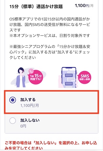オプションの選択